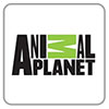 Animal Planet